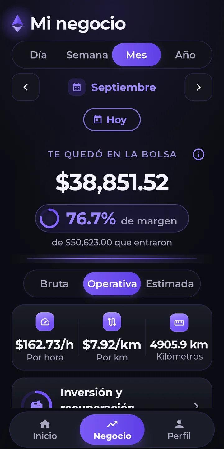 Pantalla Mi negocio de Rumbex con datos de demostración